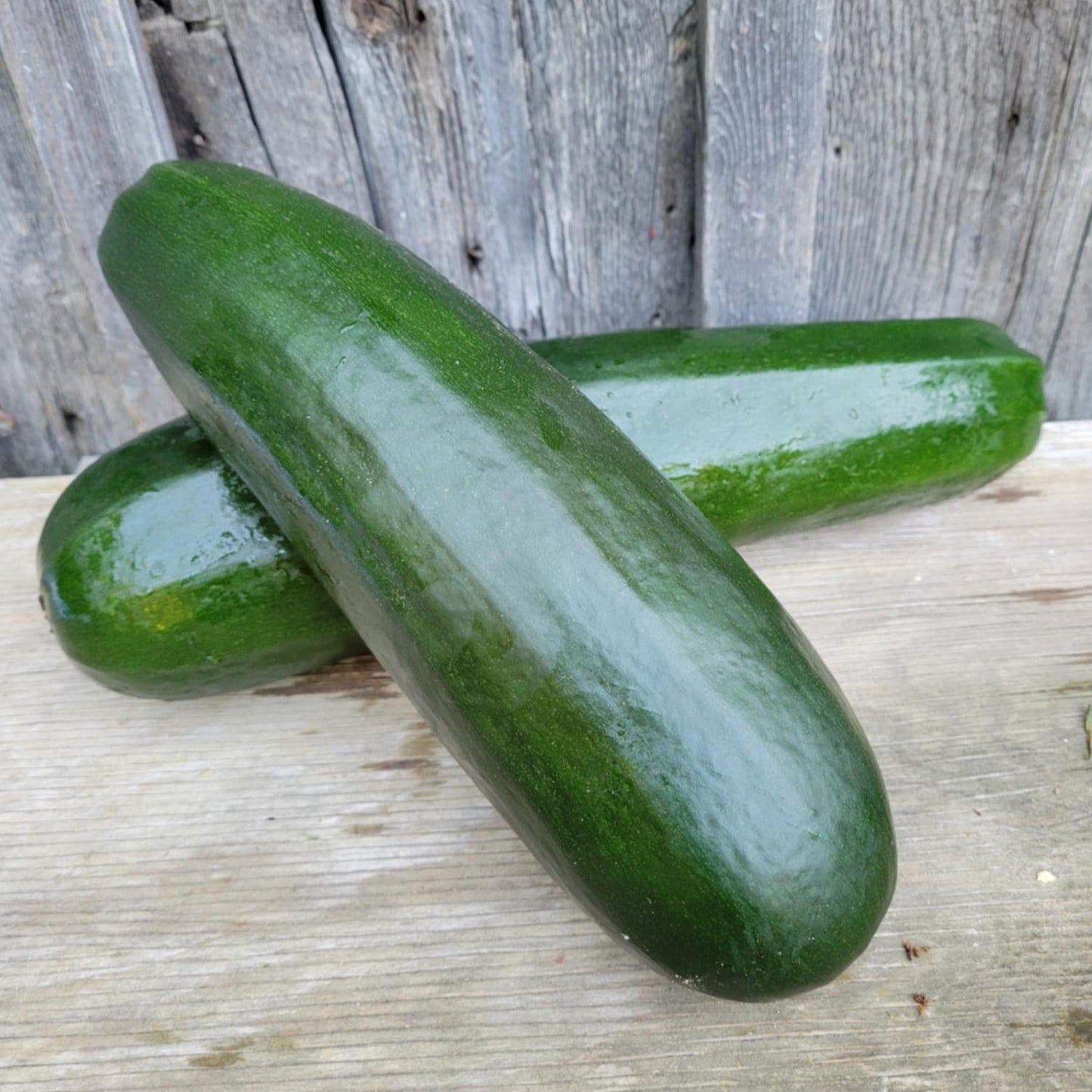 Zucchini, Green